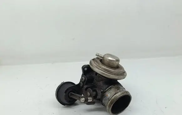 Volkswagen Golf IV EGR valve 038131501E 338102033