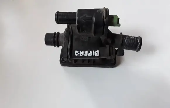 Thermostat/thermostat housing