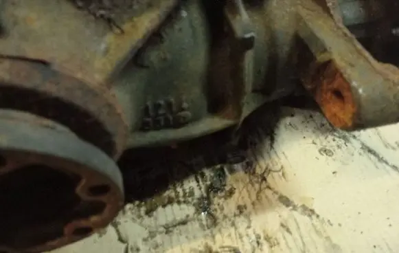 BMW 5 E39 Rear differential 1214331 121462 89960412