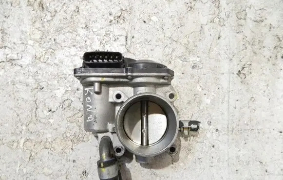 Hyundai Kona I Throttle valve 1228QAS567