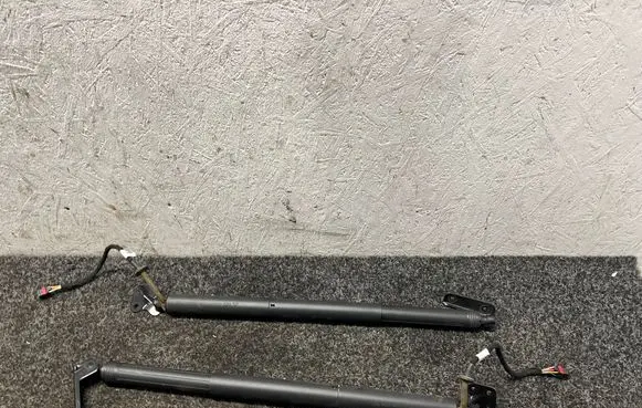 Tailgate/trunk strut/damper