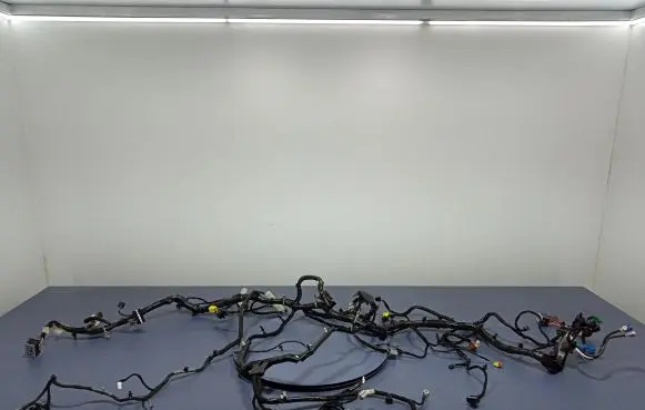 Chrysler Pacifica Other wiring loom Z06015948