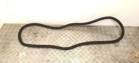 Citroen C4 III e-C4 Rear door rubber seal (on body) 9633333180