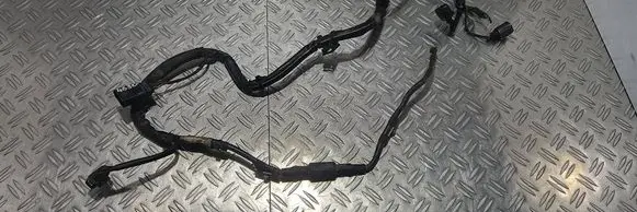 Volkswagen PASSAT B6 Wires (starter motor) 3C0971230GD TAB016331
