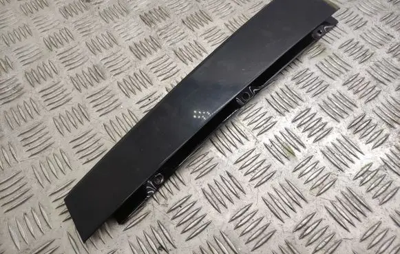Volvo S80 Rear door glass trim molding