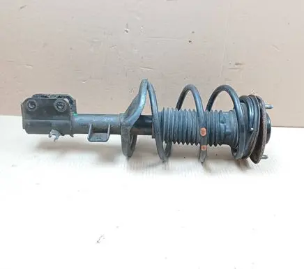 Suzuki Kizashi Front shock absorber with coil spring 05502105