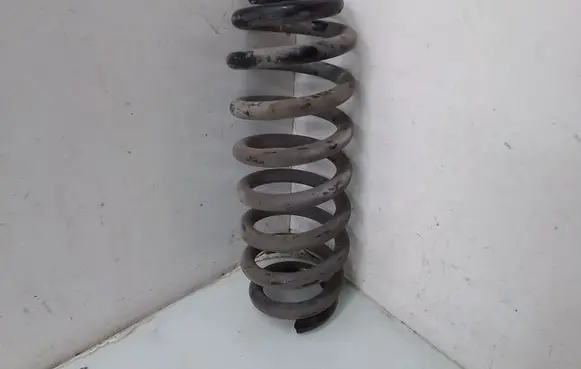 Rear coil spring