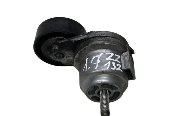 Opel Mokka Alternator belt tensioner 55565570