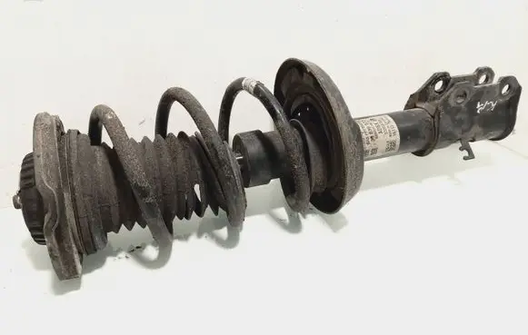 Front shock absorber with coil spring