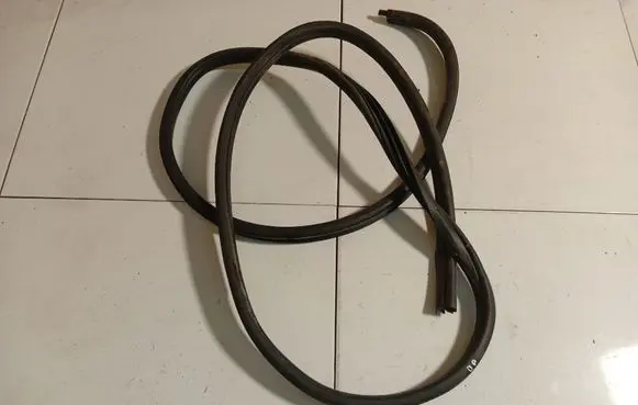 Renault Scenic I Rubber seal front coupe door 