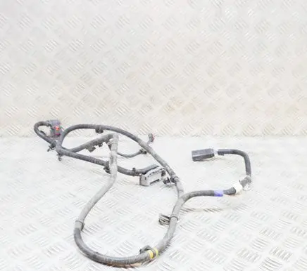 Tesla Model 3 Other wiring loom 148905101D