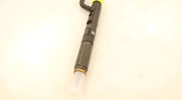 Renault Fluence Fuel injector H8200827965