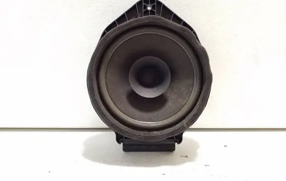 Chevrolet Orlando Rear door speaker 