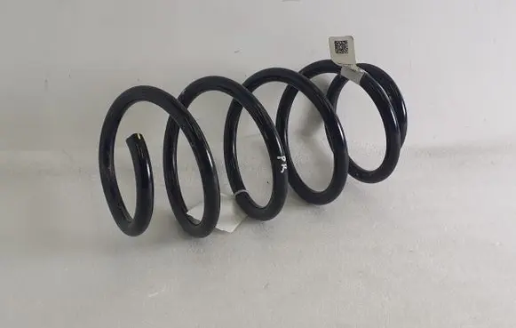 Ford Mustang Mach-E Front coil spring LJ9C5310NBB