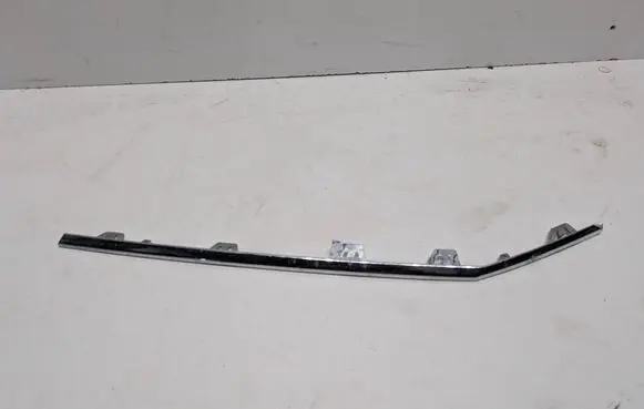 Rear bumper trim bar molding