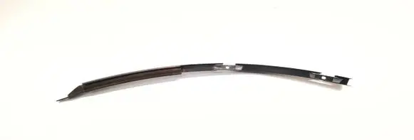 Volkswagen PASSAT B7 Rear door windshield rail 3C9839066A