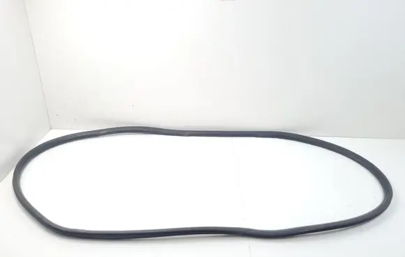 Rear door rubber seal (on body)