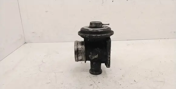 EGR valve