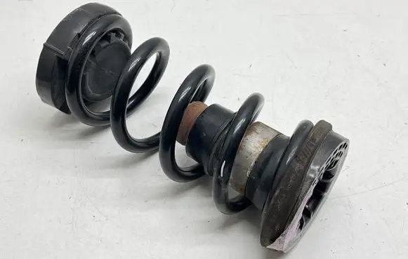 Rear coil spring