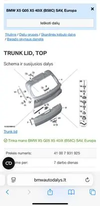 BMW X7 G07 Tailgate/trunk/boot lid 7931925 41007931925