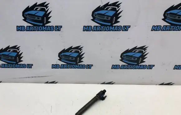 Volvo V70 Fuel injector 31303238