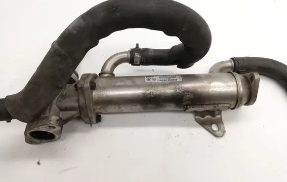 EGR valve