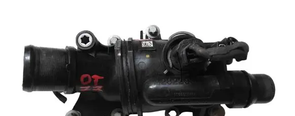 Thermostat/thermostat housing