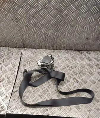 Tesla Model 3 Rear seatbelt 1110154c1g