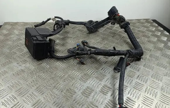 KIA Sorento IV Positive wiring loom 91850P2010