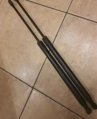Tailgate/trunk strut/damper