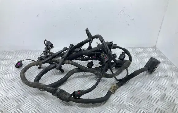 Volkswagen Golf Plus Engine installation wiring loom 03L972619AP