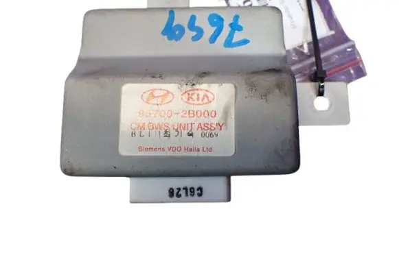 Hyundai Santa Fe Other control units/modules 95700-2B000