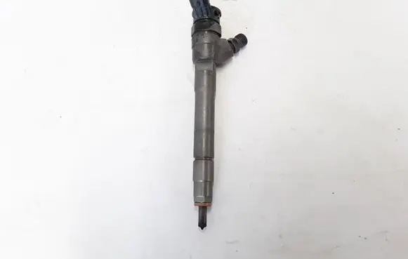 Renault Trafic III (X82) Fuel injector 0445110569