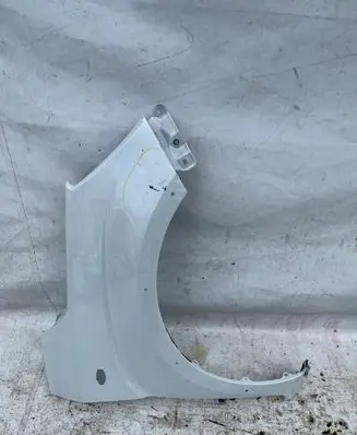 Suzuki Ignis Fender