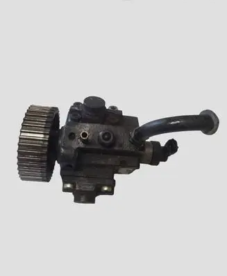 Opel Insignia A Fuel injection high pressure pump 0445010193 55571005
