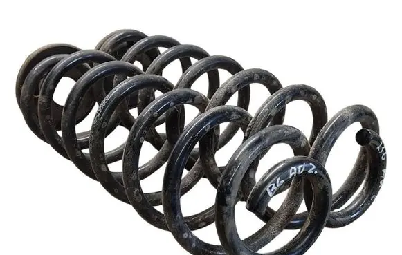 Volkswagen PASSAT B6 Rear coil spring