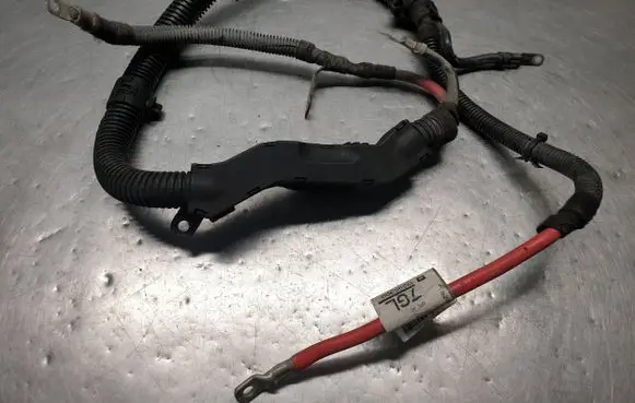 Positive wiring loom