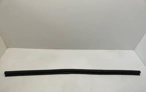 Dodge Challenger Rubber seal front coupe door 43791C 05065160AF