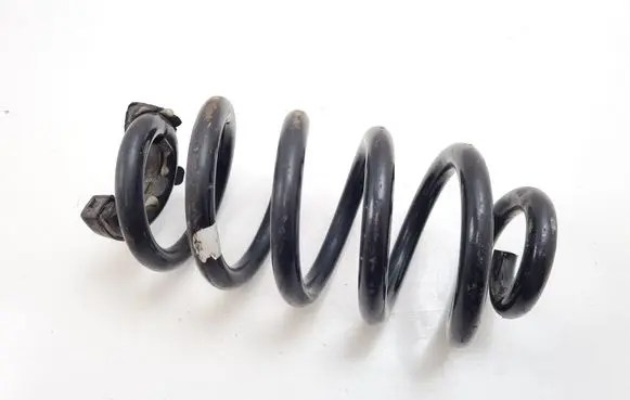 Rear coil spring