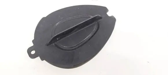 Renault Laguna III Headlight/headlamp dust cover 89074213