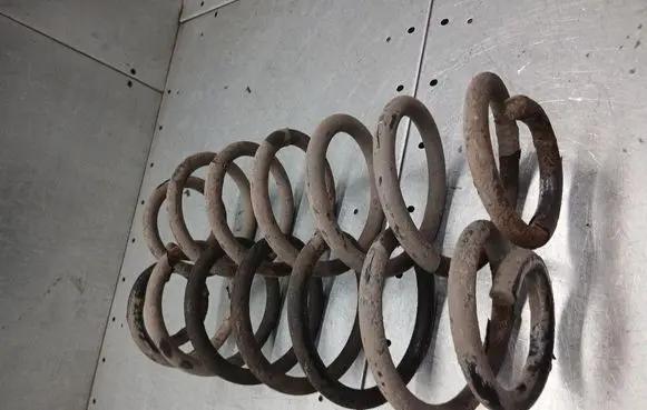 Rear coil spring