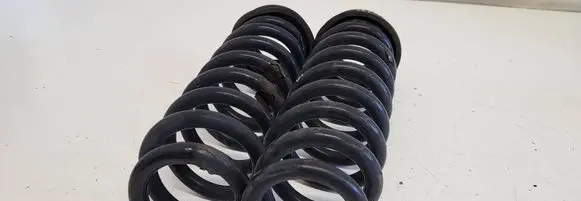 Rear coil spring