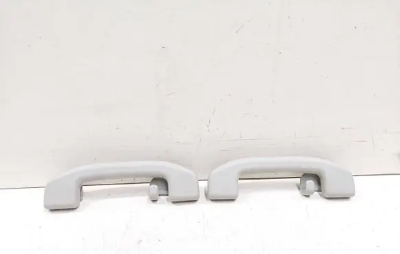 Renault Koleos I Rear interior roof grab handle GR013P