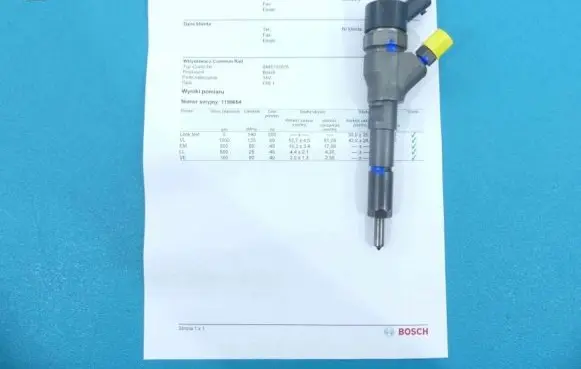 Citroen Xsara Picasso Fuel injector 0445110076 IMPRK1199654