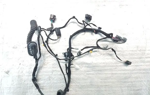 Ford Fusion II Front door wiring loom HG9T14631ABD GH9T14631