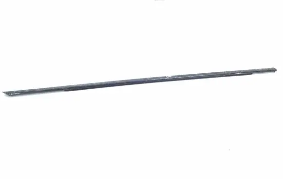 Citroen DS5 Front door glass trim molding