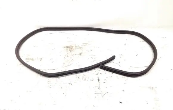 Ford Kuga II Front door rubber seal CJ54S20708 CJ54S253A10