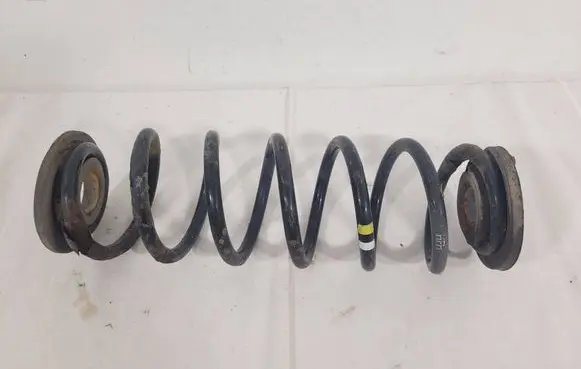 Volkswagen Golf V Rear coil spring 
