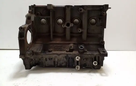 Fiat 500L Engine block 199B4000