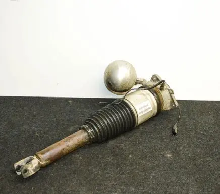 Volkswagen Phaeton Shock absorber/damper/air suspension 3D0616001K
